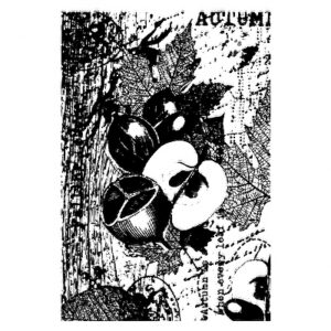 Two Jays Stamp Autumn Collage