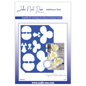 John Next Door Orchid