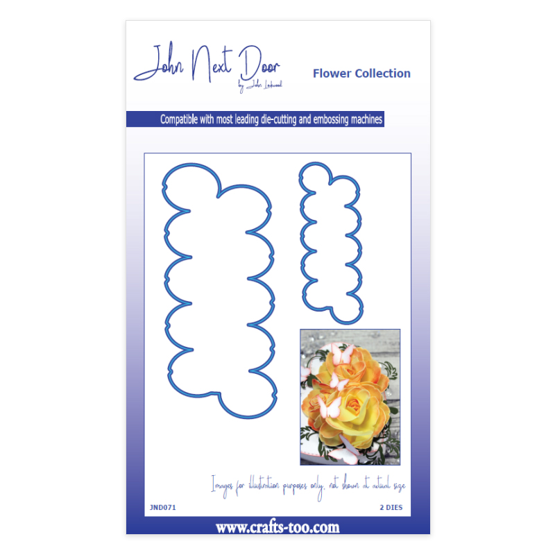 John Next Door Fold Rose