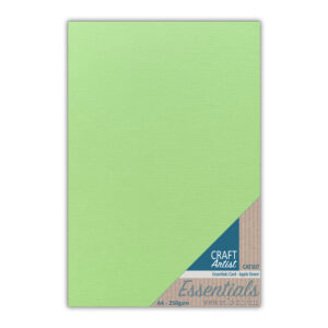 Craft Artist Essential Card Apple Green