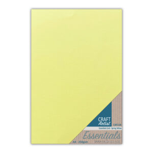 Craft Artist Essential Card Spring Yellow