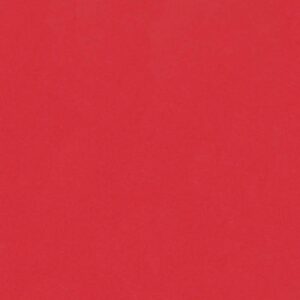 Foundation Card A4 Cardinal Red