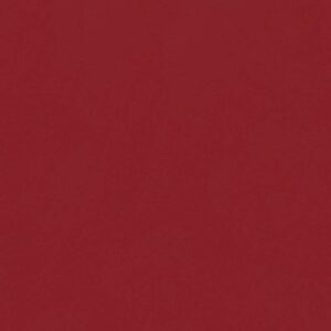 Foundation Card A4 Cherry Red