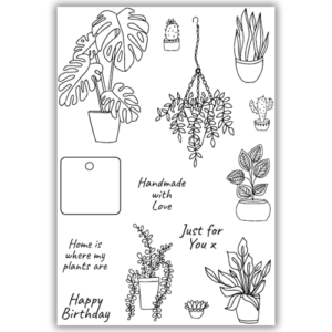 Julie Hickey Designs My Indoor Garden