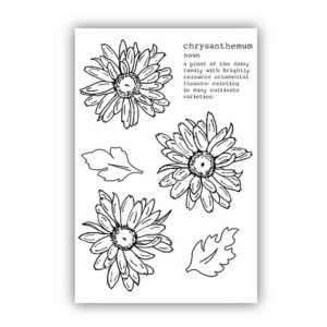 Julie Hickey Designs Peter’s Chrysanthemums