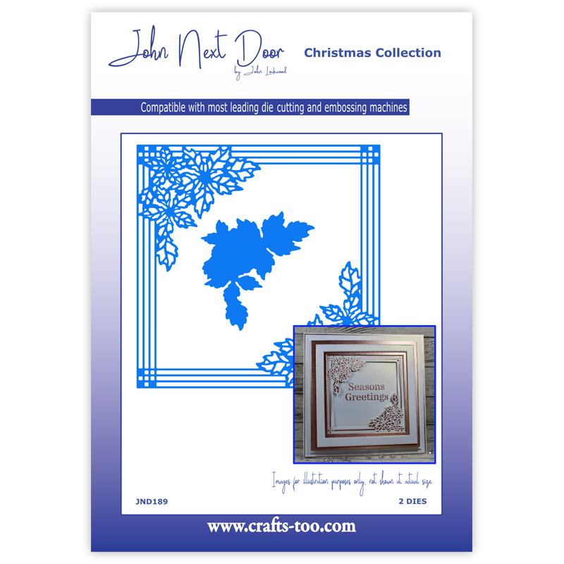 John Next Door Pinstripe Poinsettia Frame