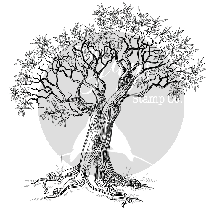 Two Jays Stamp Peter's Tree