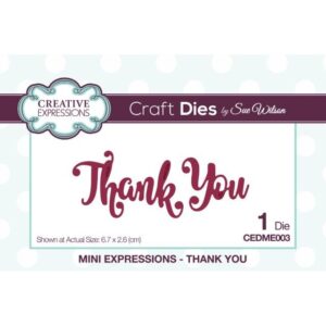 Mini Expressions Thank You