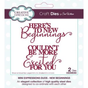 Mini Expressions Duos New Beginnings