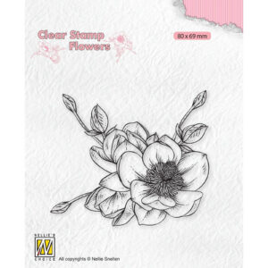 Flowers Blooming Branch - Magnolia Flower