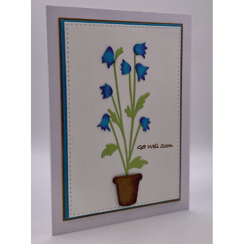 John Next Door Bluebells