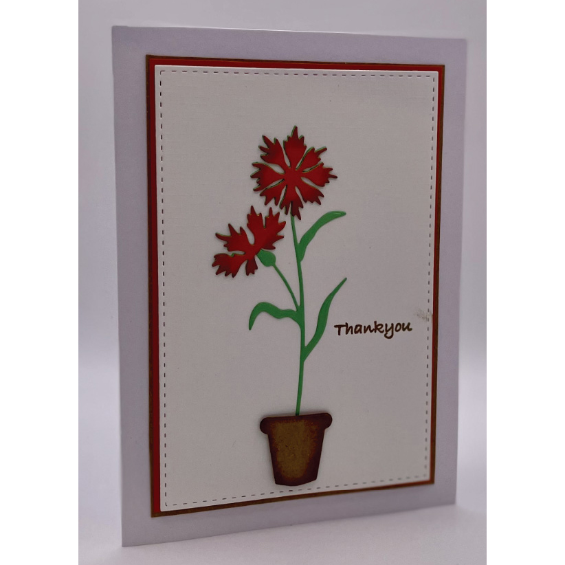 John Next Door Campion