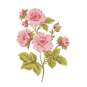 Layered Stamps - Roses Branch