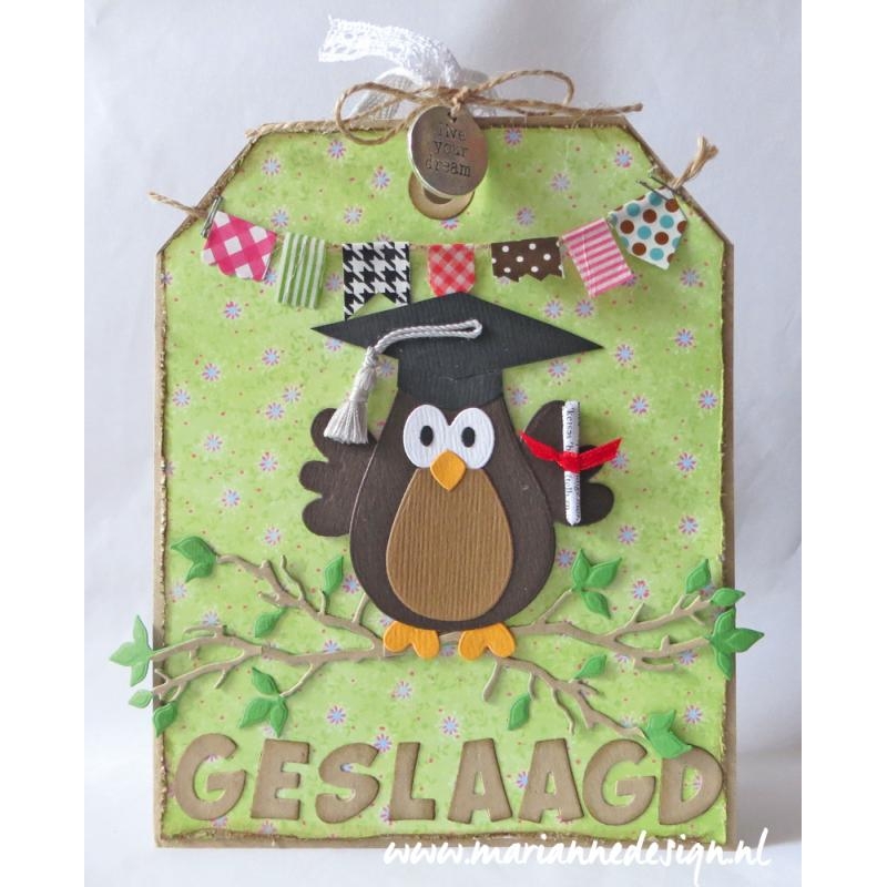 Collectables - Eline's Owl Family