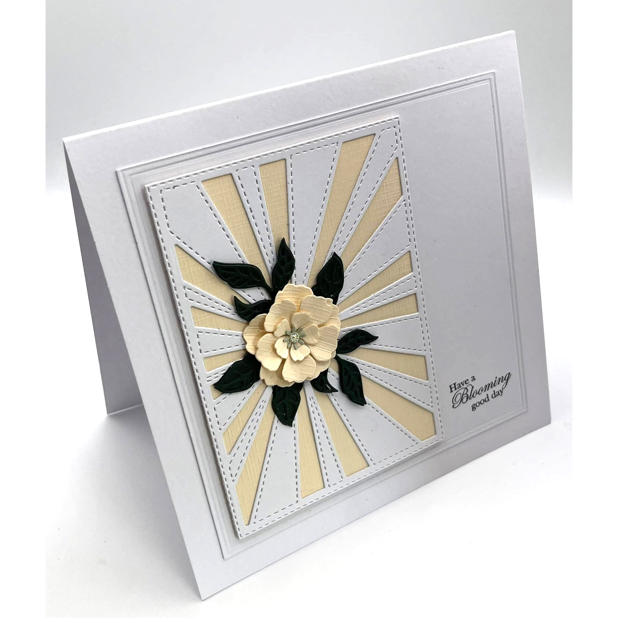 Presscut Background Collection - Sunray