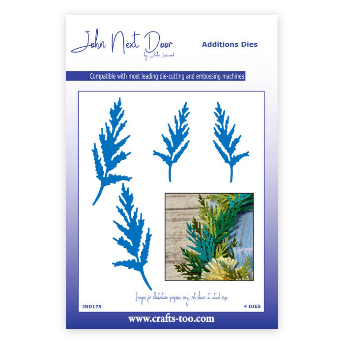 John Next Door Aster Leaves