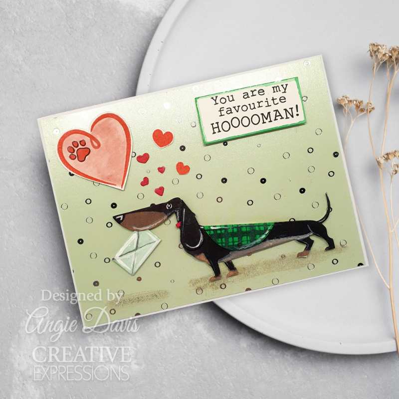 Sue Wilson Pet Pals Milo - Image 3