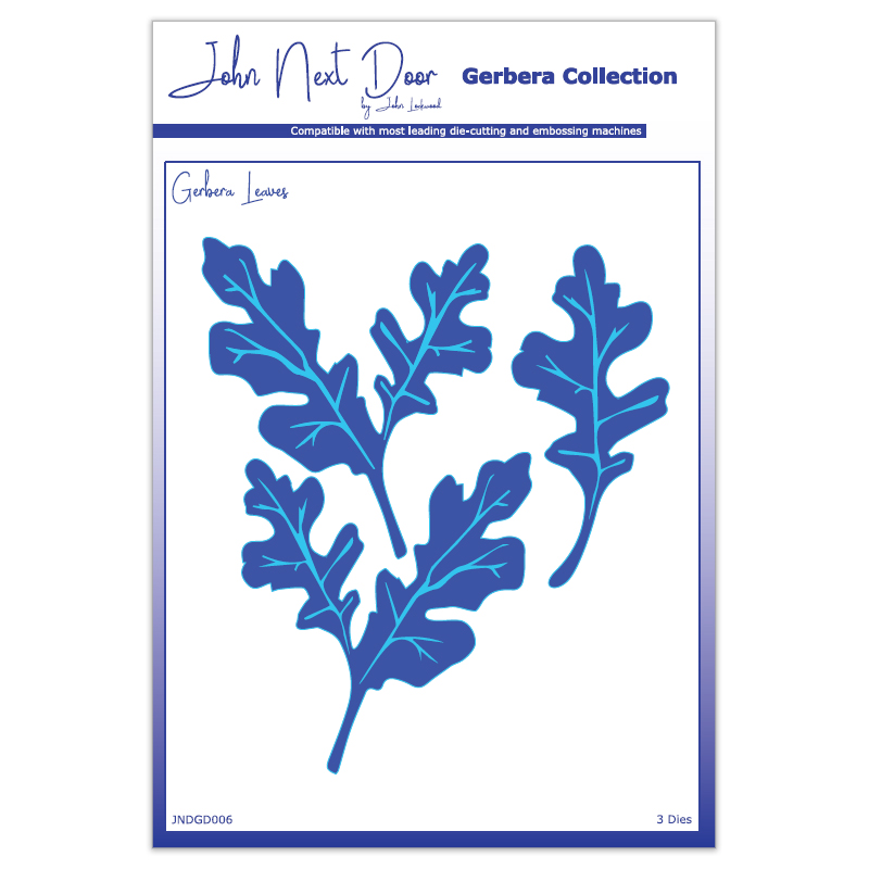 John Next Door Gerbera Leaves