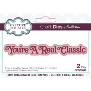 Sue Wilson Mini Shadowed Sentiments You’re A Real Classic Craft Die