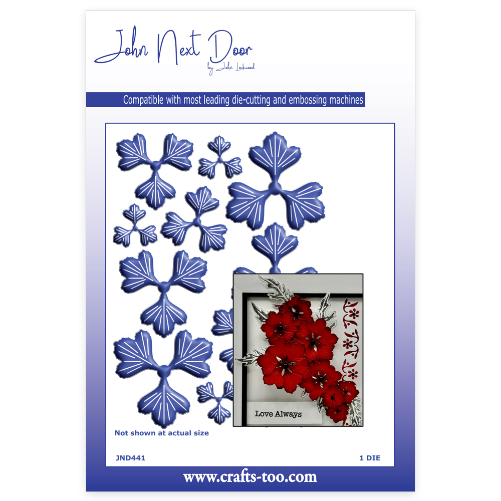 John Next Door Scarlett Flower