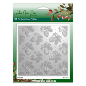 John Next Door 3D Embossing Folder Pinecones