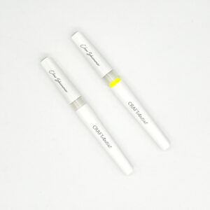 Craft Artist Clear Glitter Brush (2pcs)