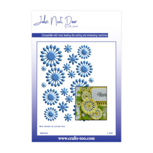 John Next Door Zora Flowers