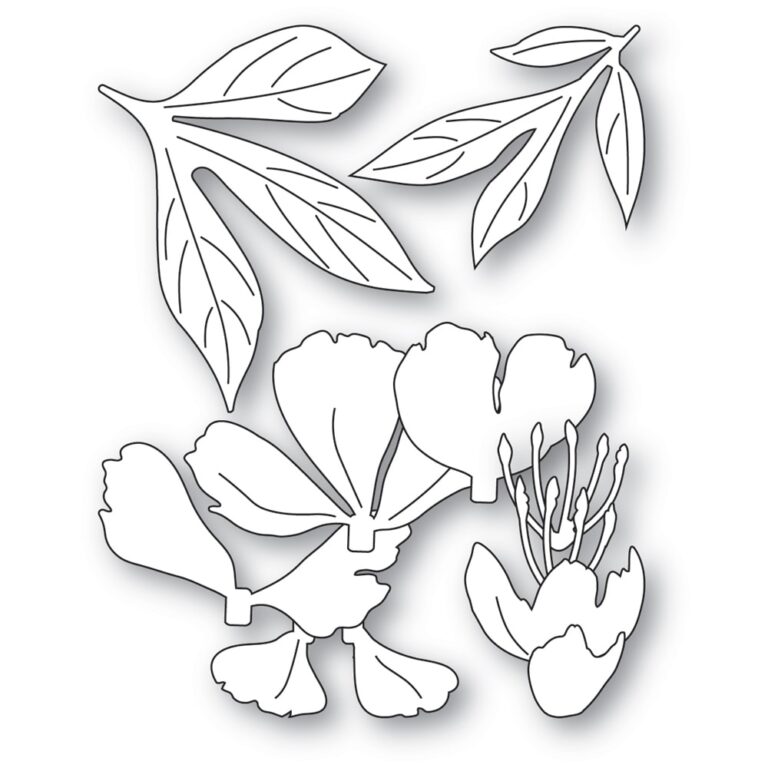 Memory Box - Gentle Peony Bloom craft die - Art of Craft