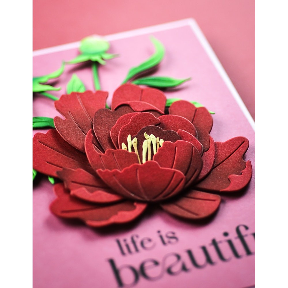 Memory Box - Refined Peony Bloom craft die