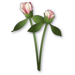 Memory Box - Peony Bud Duo craft die