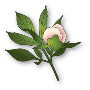 Memory Box - Tender Peony Bud craft die