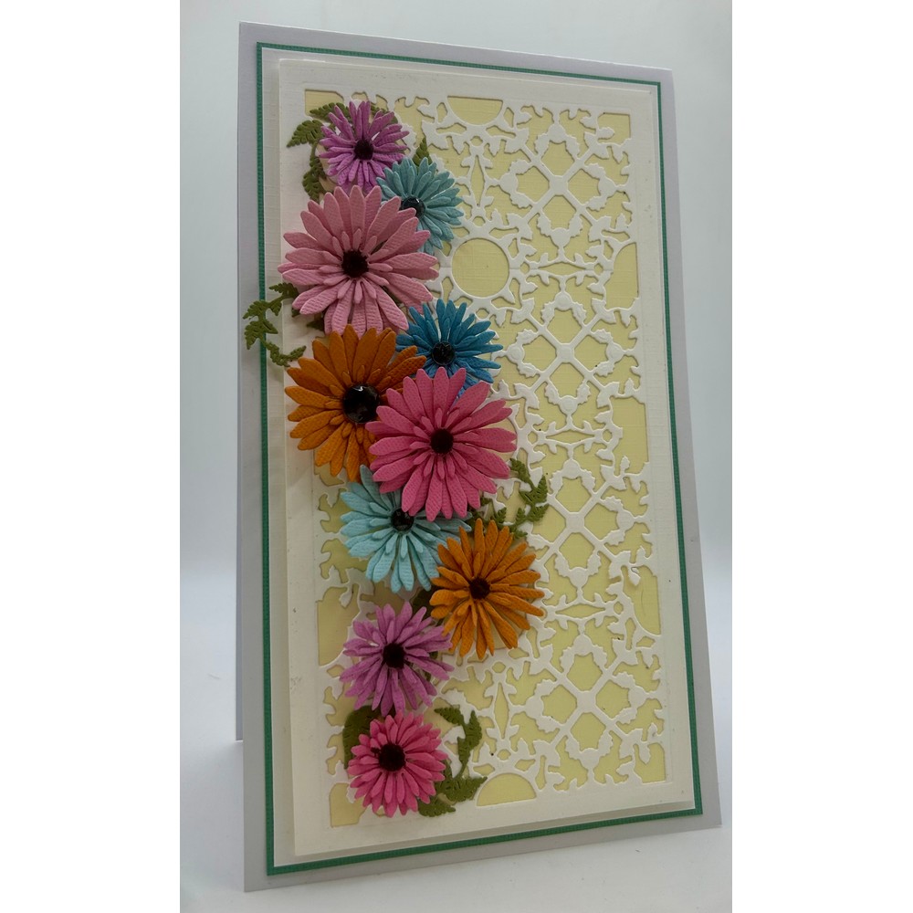 John Next Door - Tatty Gerbera