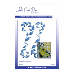 John Next Door - Morella Vines