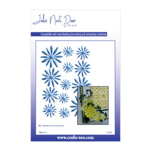 John Next Door - Tatty Gerbera