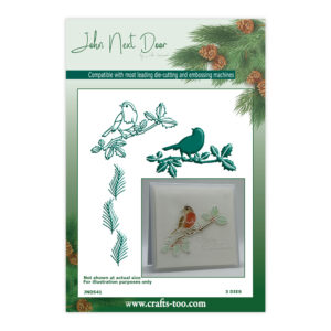 John Next Door Christmas - Robin Branch