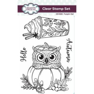 Creative Expressions - Pumpkin Owl A6 Clear Stamp Set
