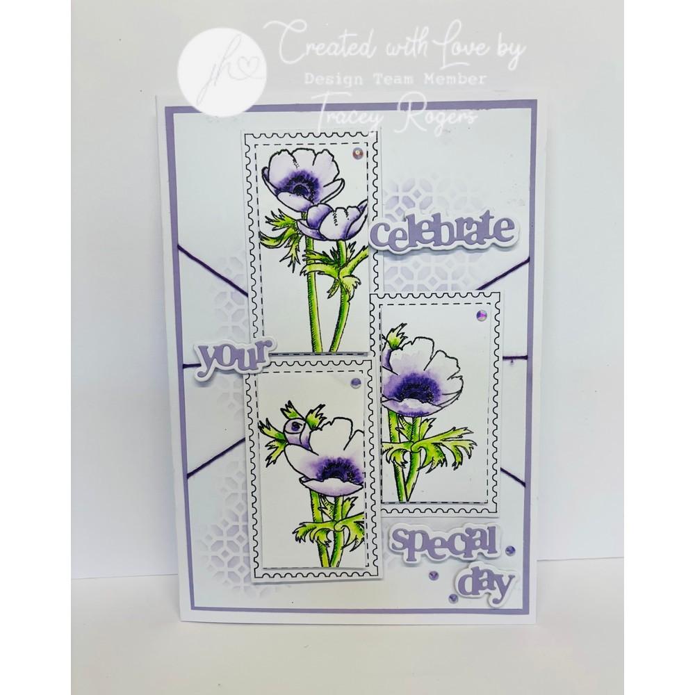 Hazel's Sentiment Medley #6 Die Set - Image 14