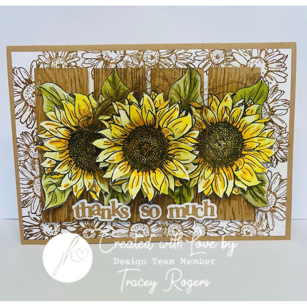 Hazel's Sentiment Medley #6 Die Set - Image 12