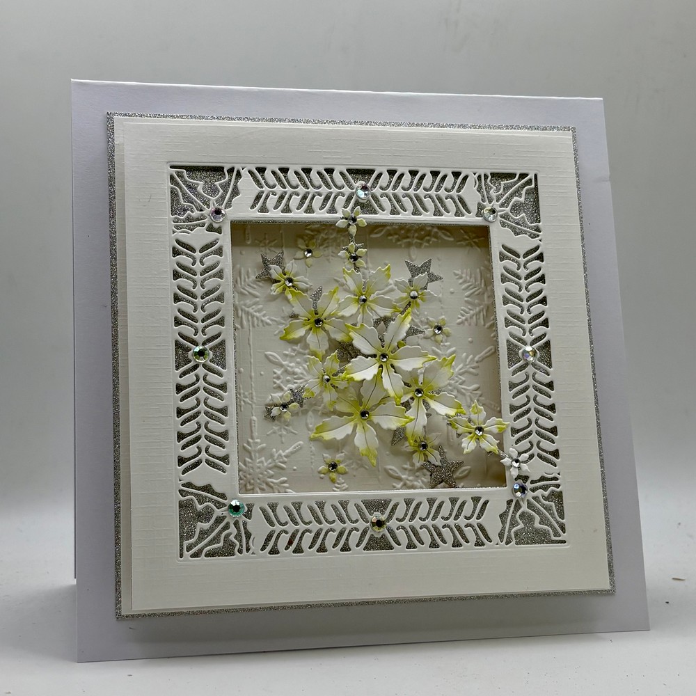 John Next Door - Slimline Poinsettia