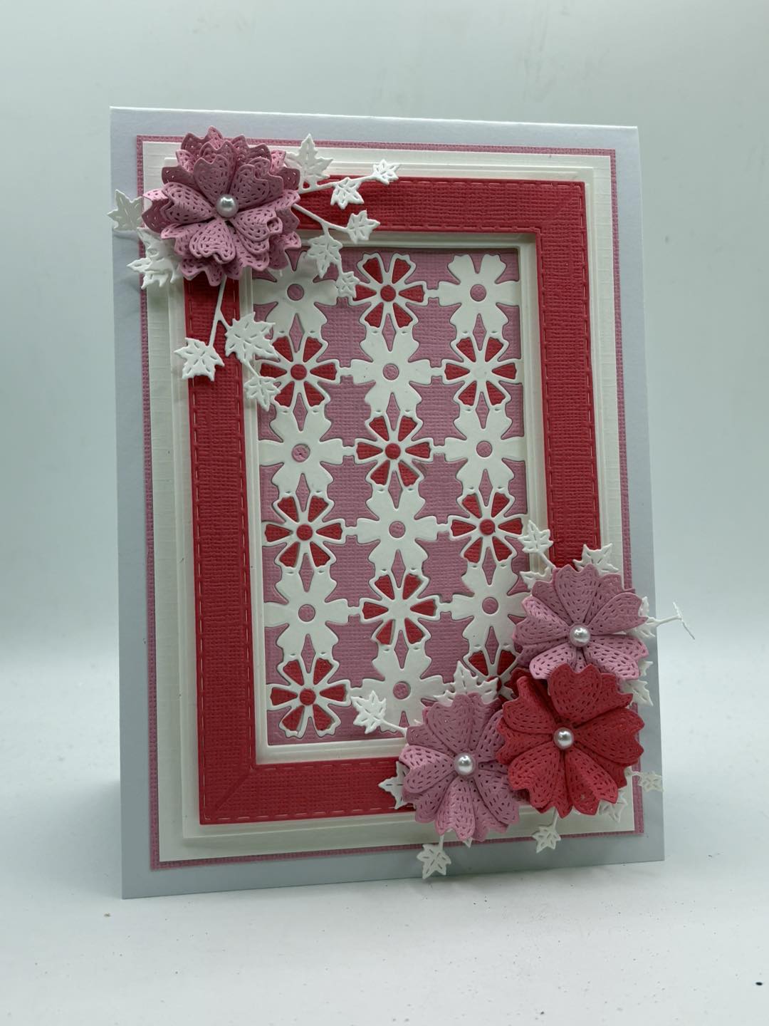 John Next Door - Dogwood Trail Insert