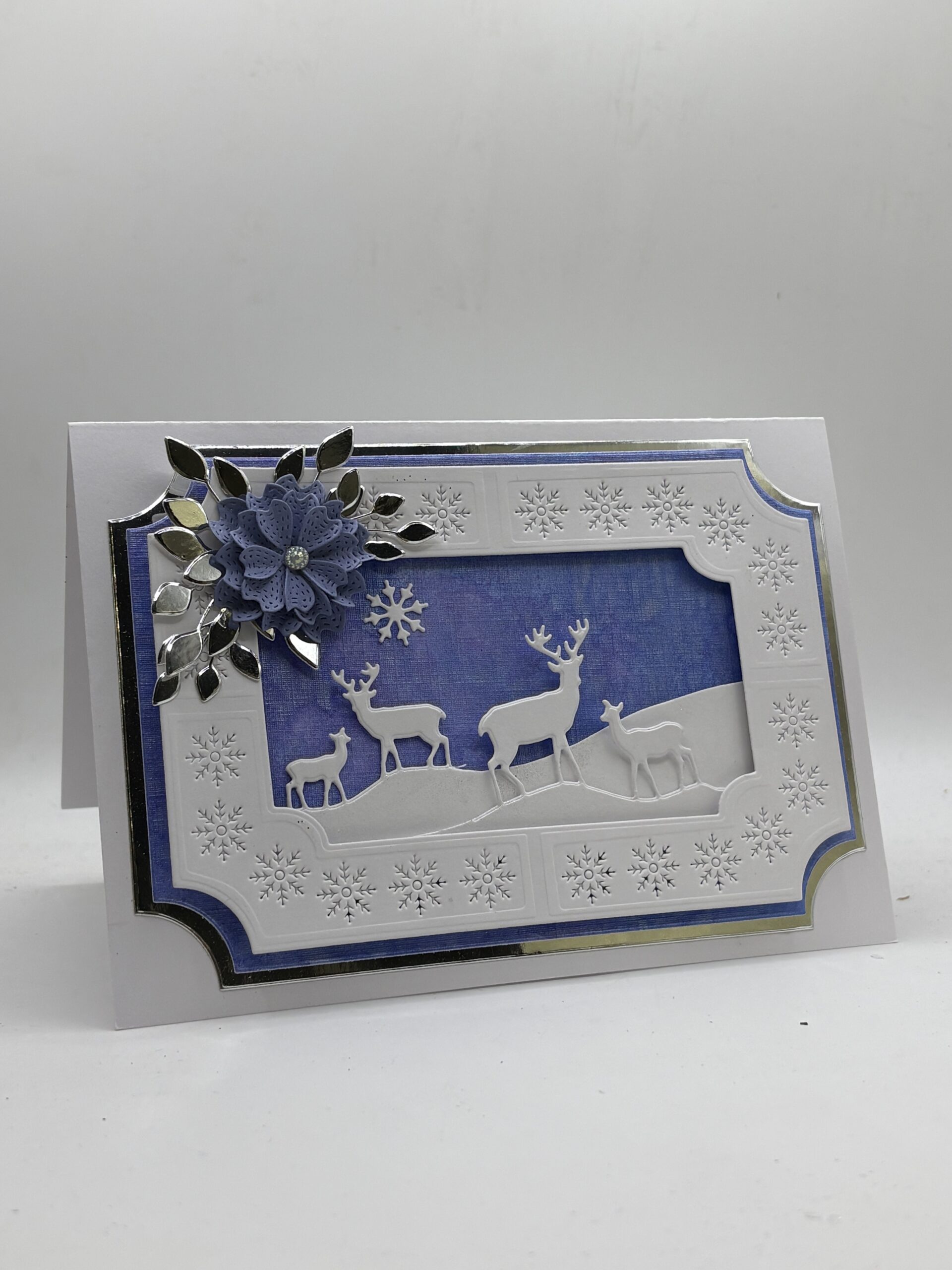 John Next Door Charlies Notched FrameMaker & Snowflake Insert set