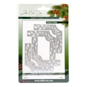 John Next Door Christmas - Holly Flourish Insert