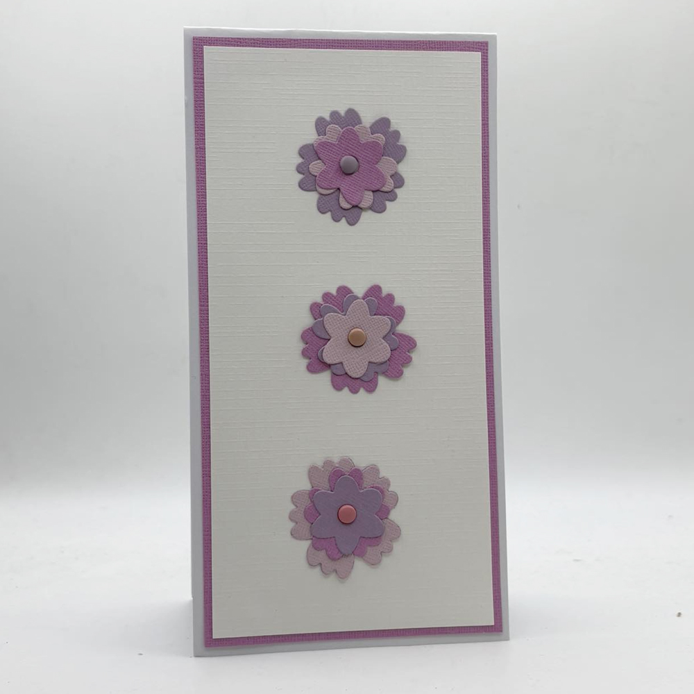 Woodware Brads Bundle - Image 3