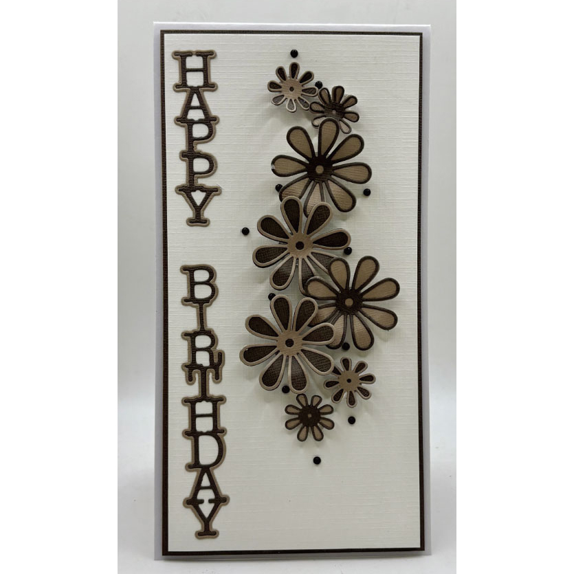 John Next Door - Vertical Birthday