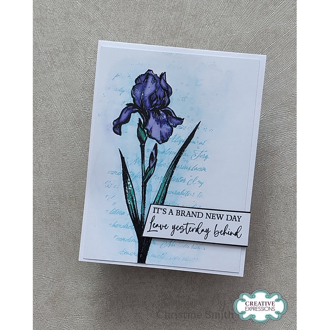 Woodware Wild Iris A6 Clear Stamp Set