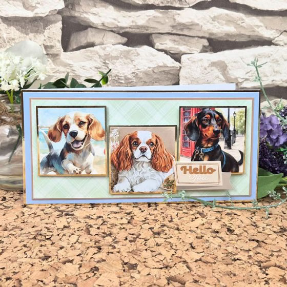 Dog Days Pocket Pad - Image 6
