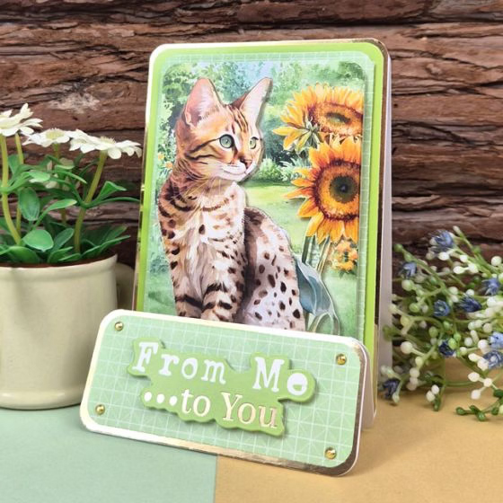 Feline Fabulous Pocket Pad - Image 6