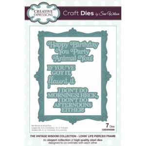 Lovin’ Life Pierced Frame Craft Die By Sue Wilson